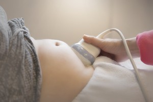 Zwanger echo's in de zwangerscchap